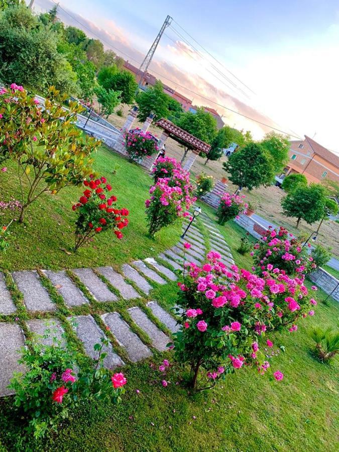 B&B Da Mary Матриче Экстерьер фото